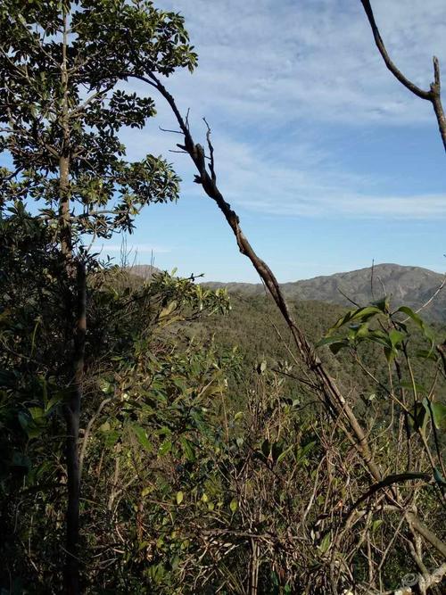 茂名罗皇岭之旅